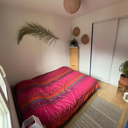 Apartment Avec Vue Montagne *