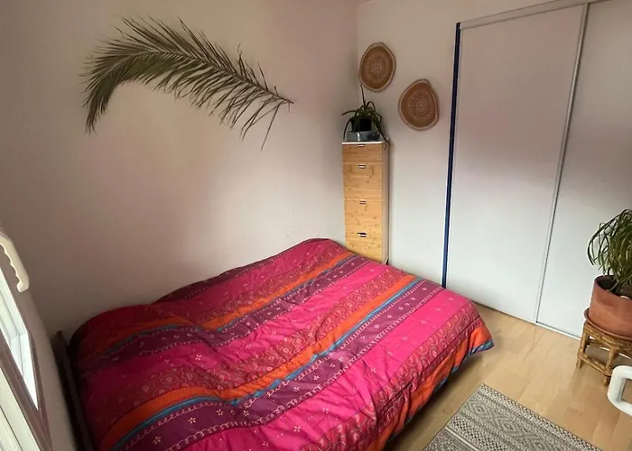 Apartment Avec Vue Montagne *