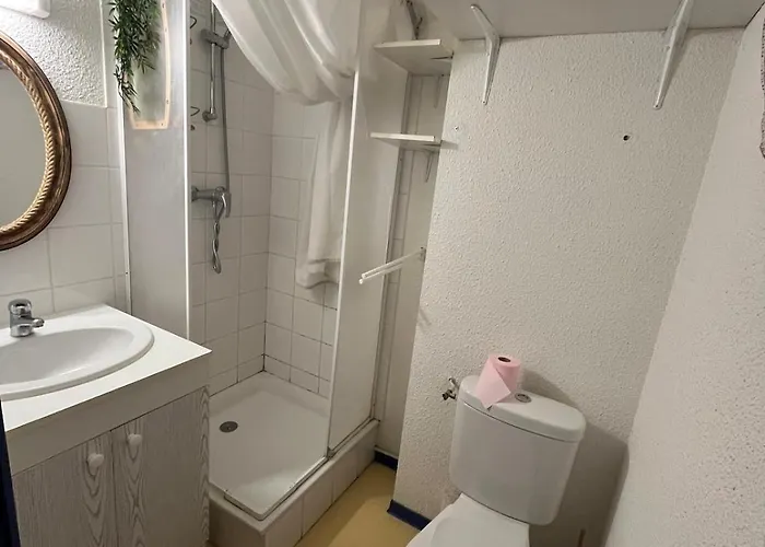 Avec Vue Montagne Apartment *